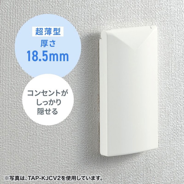 サンワサプライ セキュリティスリムコンセントカバー 鍵付き TAP-KJCV1 1個（ご注文単位1個）【直送品】