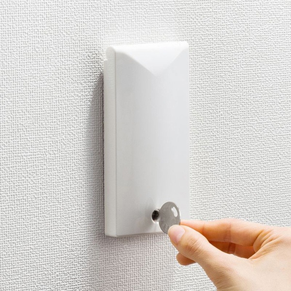 サンワサプライ セキュリティスリムコンセントカバー 鍵付き TAP-KJCV1 1個（ご注文単位1個）【直送品】