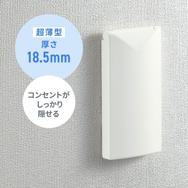 サンワサプライ セキュリティスリムコンセントカバー 鍵無し TAP-KJCV2 1個（ご注文単位1個）【直送品】