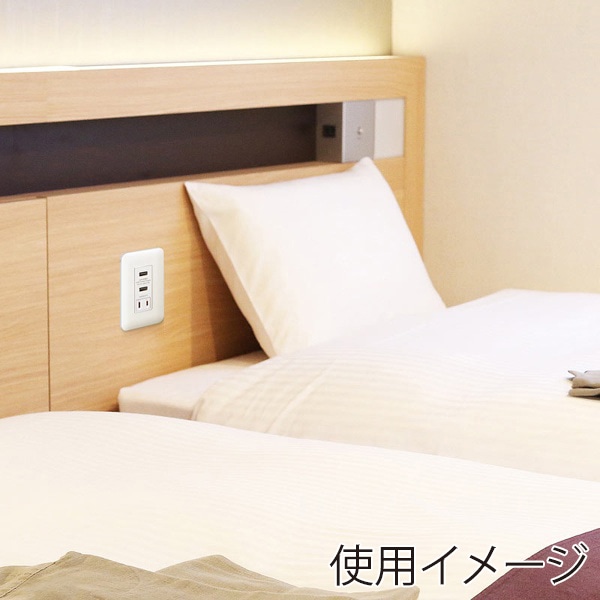 サンワサプライ 埋込USB給電用コンセント ACバッテリー付き ホワイト TAP-KJUSB2AC1W 1個（ご注文単位1個）【直送品】