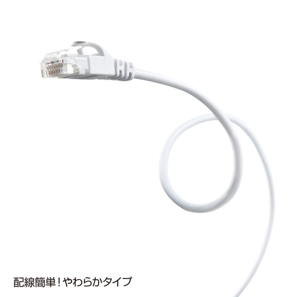 サンワサプライ 極細LANケーブル カテゴリ6 3m ホワイト LA-SL6-03W 1個（ご注文単位1個）【直送品】
