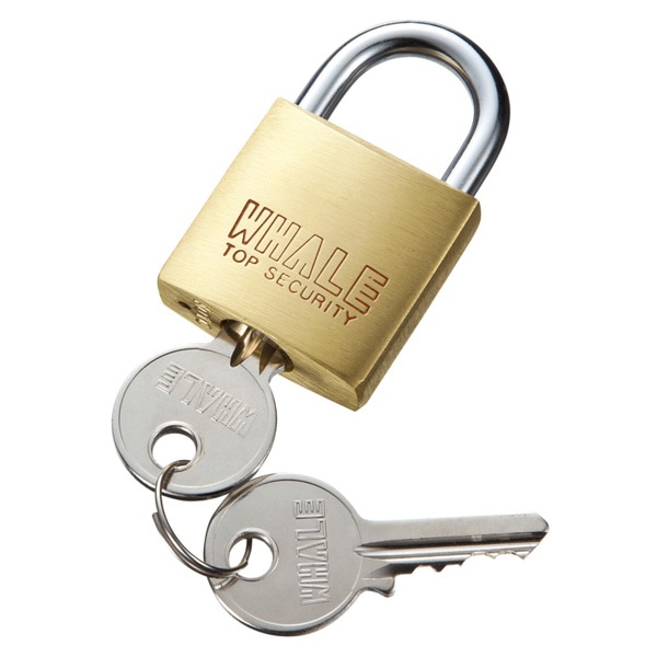 サンワサプライ eセキュリティ 南京錠 大 No.1 SLE-1L-1N 1個（ご注文単位1個）【直送品】