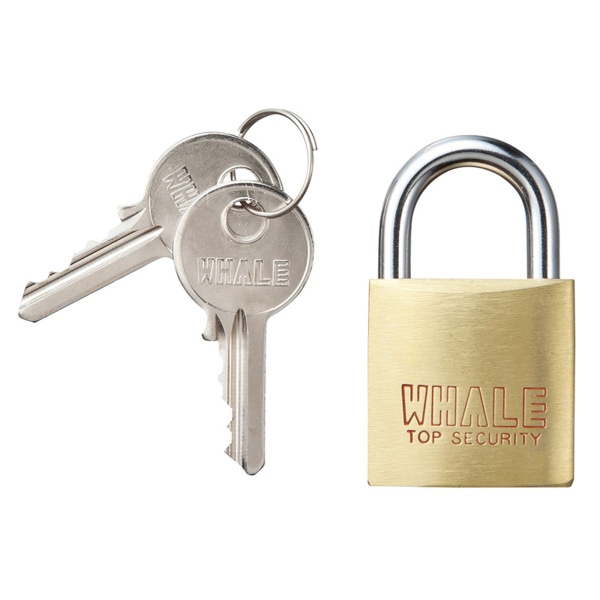 サンワサプライ eセキュリティ 南京錠 大 No.1 SLE-1L-1N 1個（ご注文単位1個）【直送品】