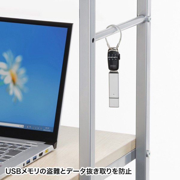 サンワサプライ USBメモリセキュリティ SL-69 1個（ご注文単位1個）【直送品】