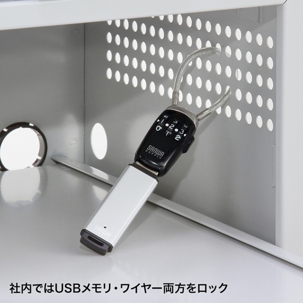 サンワサプライ USBメモリセキュリティ SL-69 1個（ご注文単位1個）【直送品】