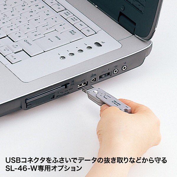 サンワサプライ USBコネクタ 取付けセキュリティ 取付け部品 SL-46-W用 50個入 SL-46WOP-50 1個（ご注文単位1個）【直送品】