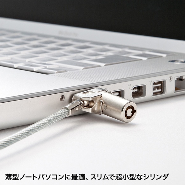 サンワサプライ eセキュリティ 超小型シリンダセキュリティ 鍵No.1 SLE-25S-1 1個（ご注文単位1個）【直送品】