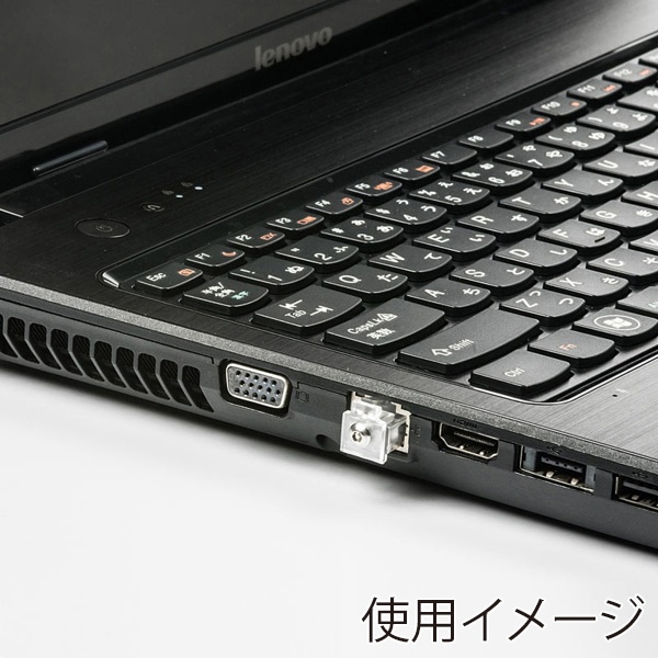 サンワサプライ LANポートロック SLE-12SN 1個（ご注文単位1個）【直送品】