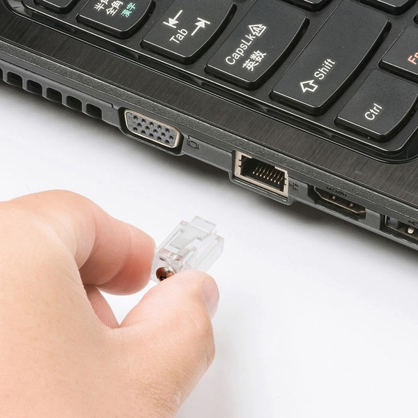 サンワサプライ LANポートロック SLE-12SN 1個（ご注文単位1個）【直送品】