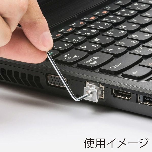 サンワサプライ LANポートロック SLE-12SN 1個（ご注文単位1個）【直送品】