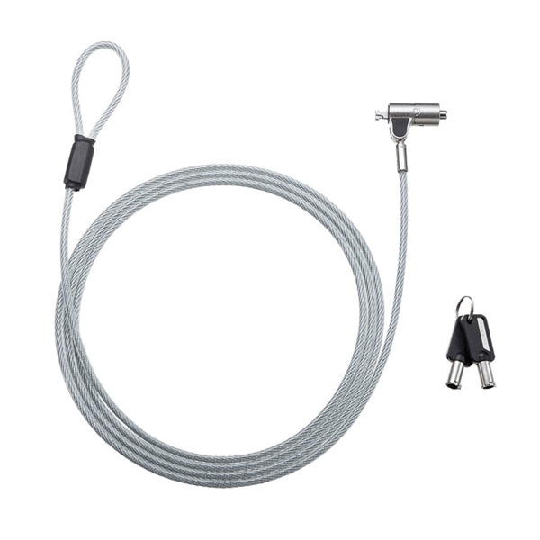 サンワサプライ セキュリティワイヤー・シリンダ nanoスロット対応 SLE-38S 1個（ご注文単位1個）【直送品】