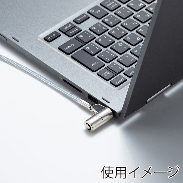 サンワサプライ セキュリティワイヤー・シリンダ nanoスロット対応 SLE-38S 1個（ご注文単位1個）【直送品】