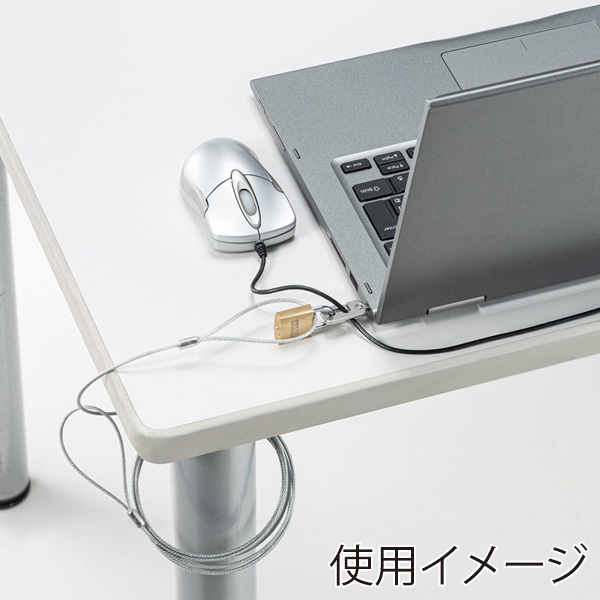 サンワサプライ セキュリティワイヤー ノーブルロック 南京錠タイプ SL-81 1個（ご注文単位1個）【直送品】