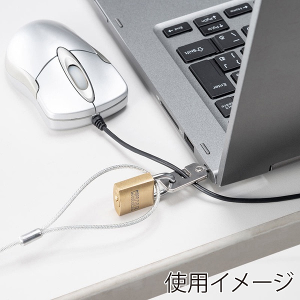 サンワサプライ セキュリティワイヤー ノーブルロック 南京錠タイプ SL-81 1個（ご注文単位1個）【直送品】