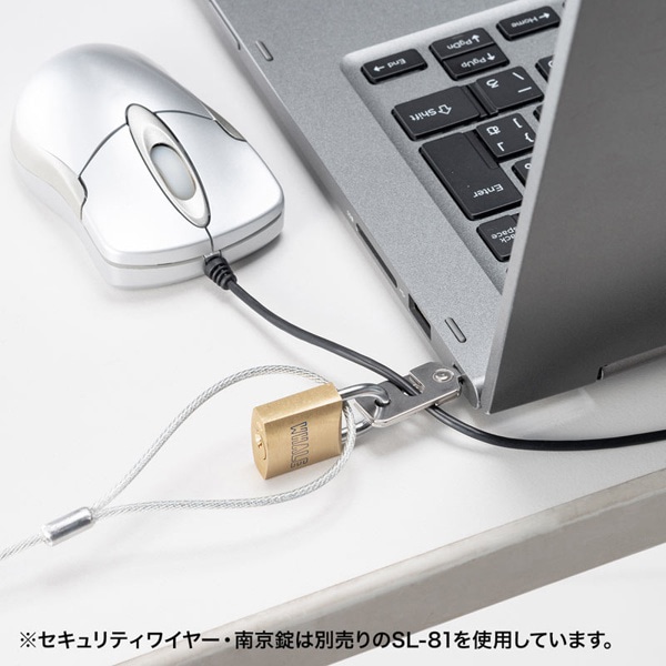 サンワサプライ eセキュリティ nobleWedgeスロット部品 SLE-21P 1個(ご注文単位1個)【直送品】