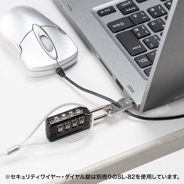 サンワサプライ eセキュリティ nobleWedgeスロット部品 SLE-21P 1個(ご注文単位1個)【直送品】