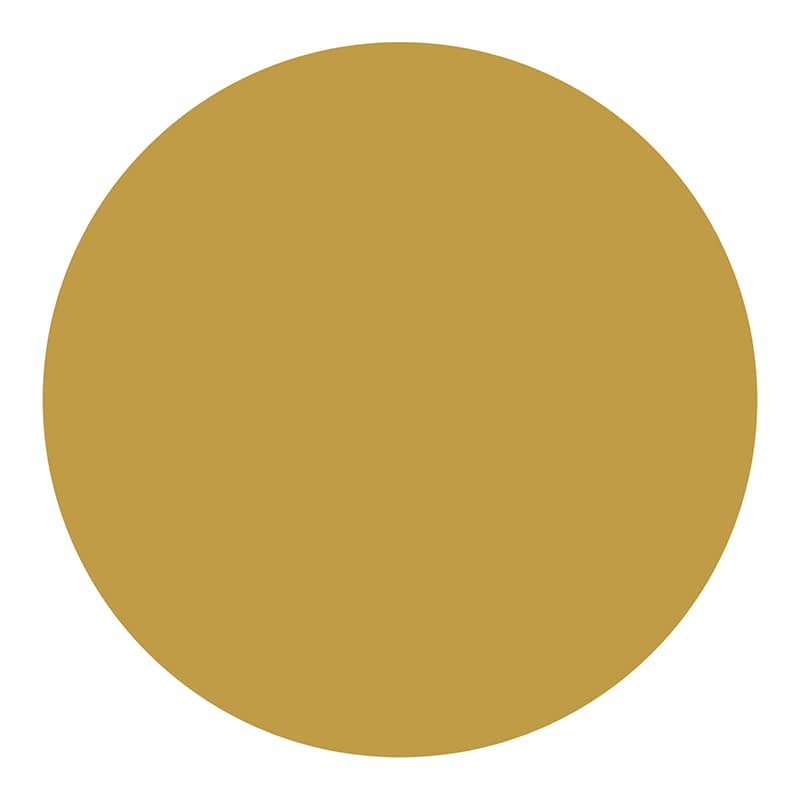 カモ井加工紙 シール mt casa seal 金 MTCDS012 1個（ご注文単位1個）【直送品】