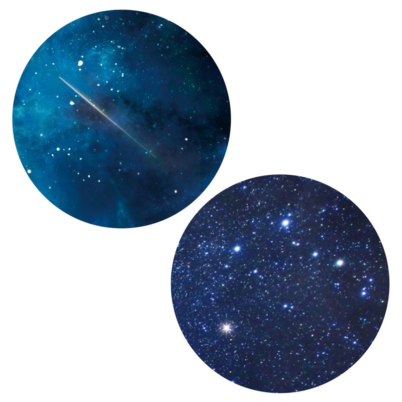 カモ井加工紙 シール mt casa seal 星空 MTCDS020 1個(ご注文単位1個)【直送品】