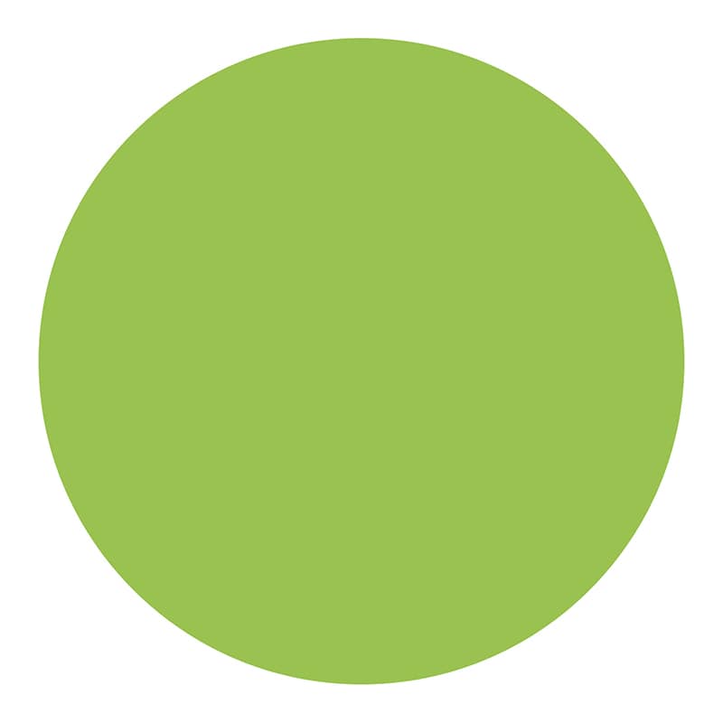 カモ井加工紙 シール mt casa seal S ショッキンググリーン MTCDSS04 1個（ご注文単位1個）【直送品】