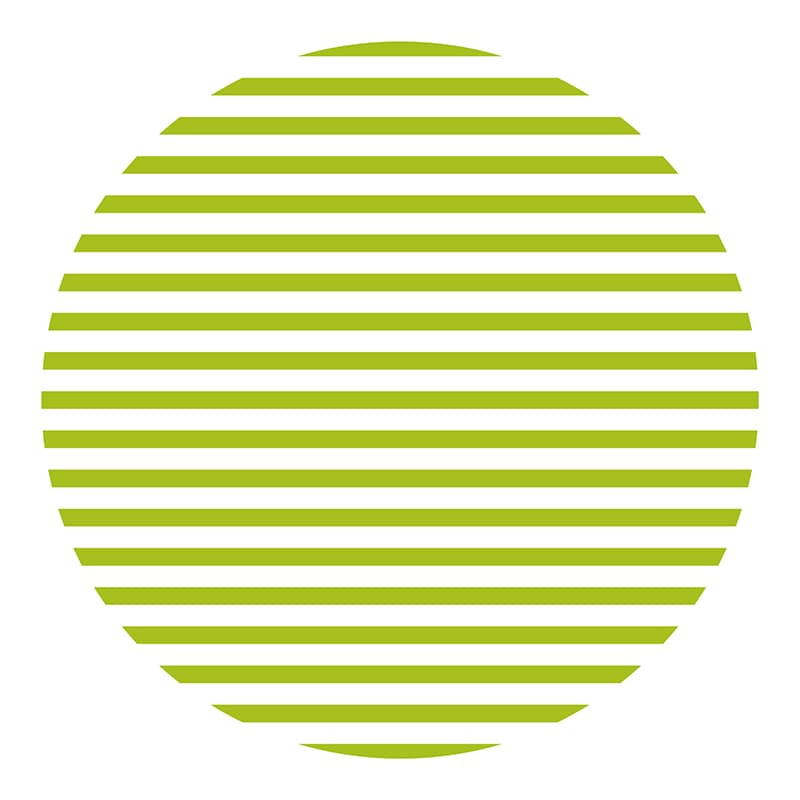 カモ井加工紙 シール mt casa seal ボーダー・キウイ MTCDS027 1巻（ご注文単位1巻）【直送品】