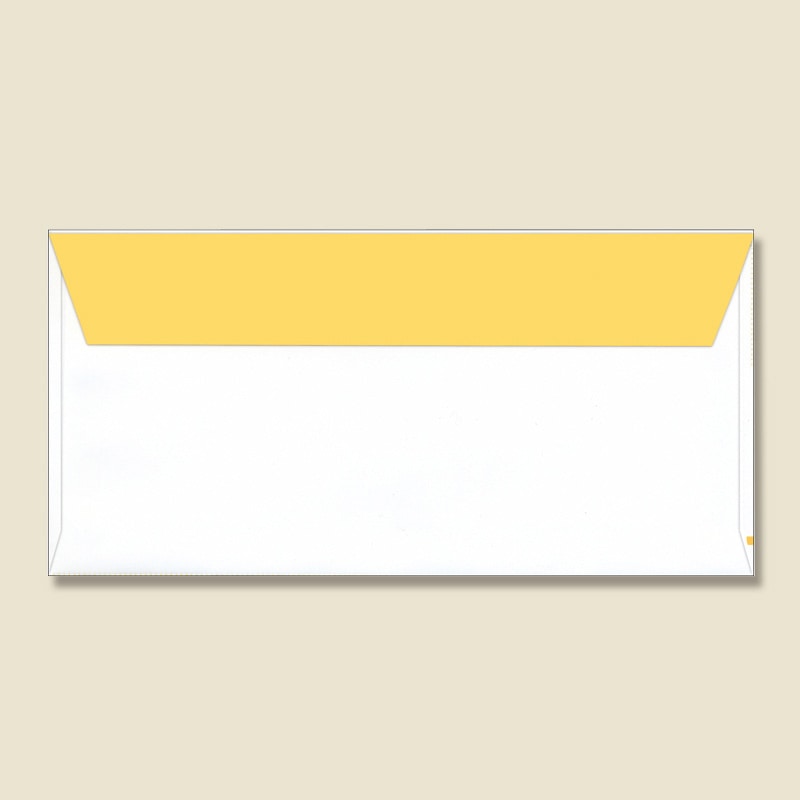 ササガワ 商品券袋 横封式 100枚箱入 9-361 1箱(ご注文単位1箱)【直送品】