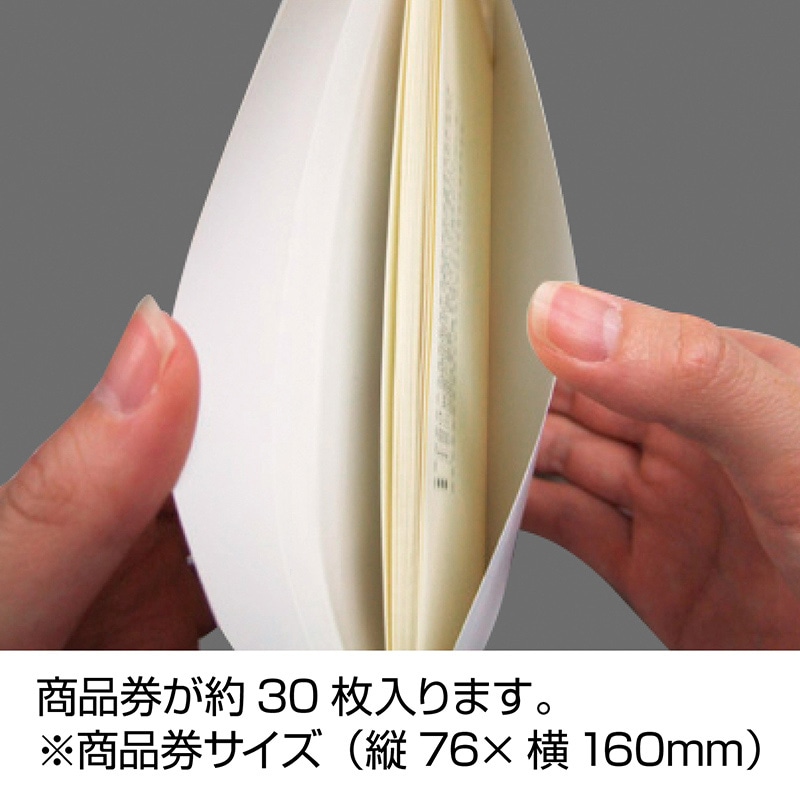 ササガワ 商品券袋 横封式 グリーンズ 9-375 100枚 1箱(ご注文単位1箱)【直送品】