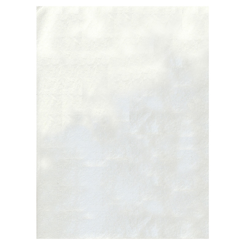 ササガワ 銀紙 大判 740×550mm 31-42 100枚 1冊(ご注文単位1冊)【直送品】