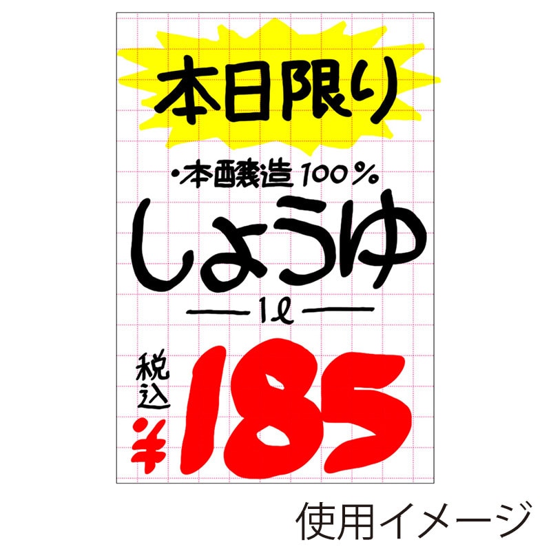 ササガワ POP用紙 みの判　白　アミ目入 12A2903　50枚 1冊（ご注文単位1冊）【直送品】