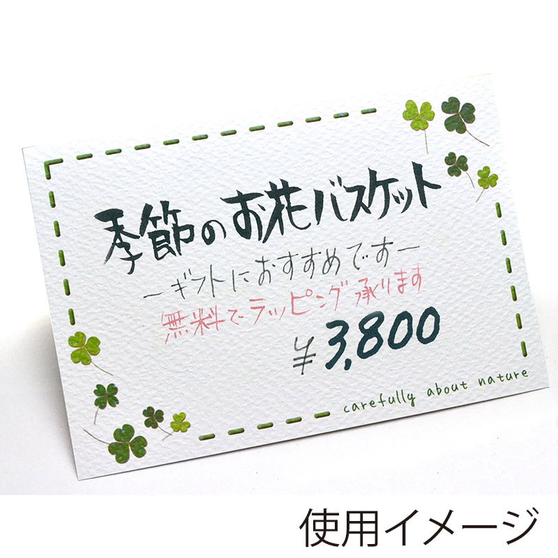 ササガワ ショーカード はがき判 クローバー16-1701 30枚/冊