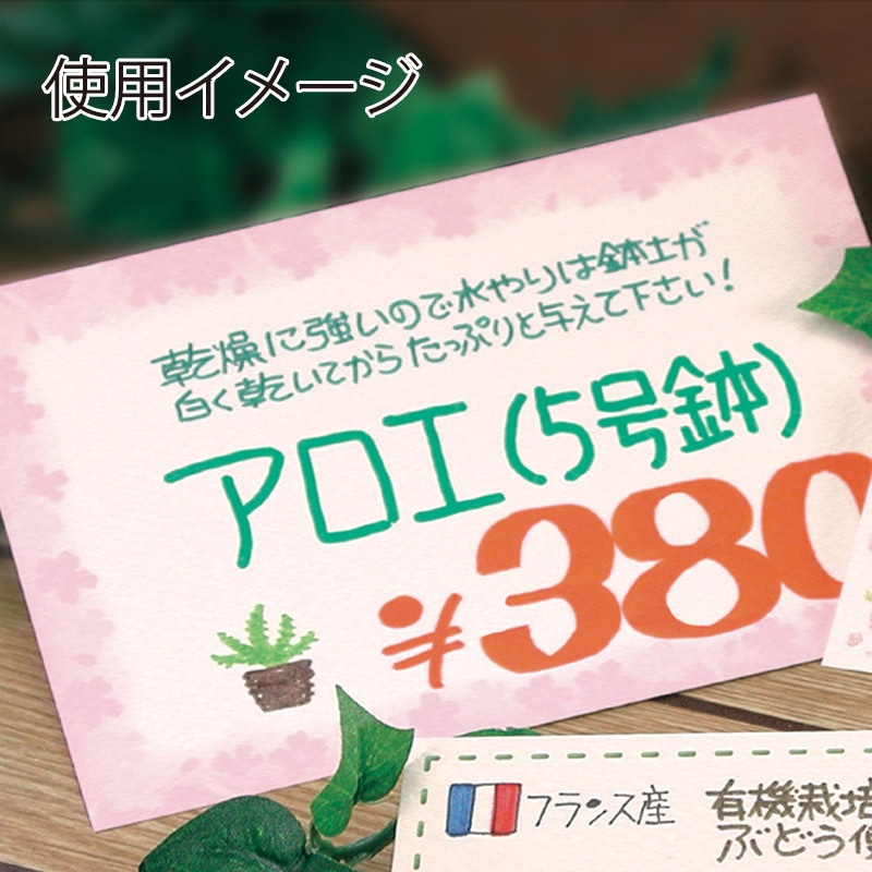 ササガワ ショーカード はがき判 花枠 16-1711 30枚/冊
