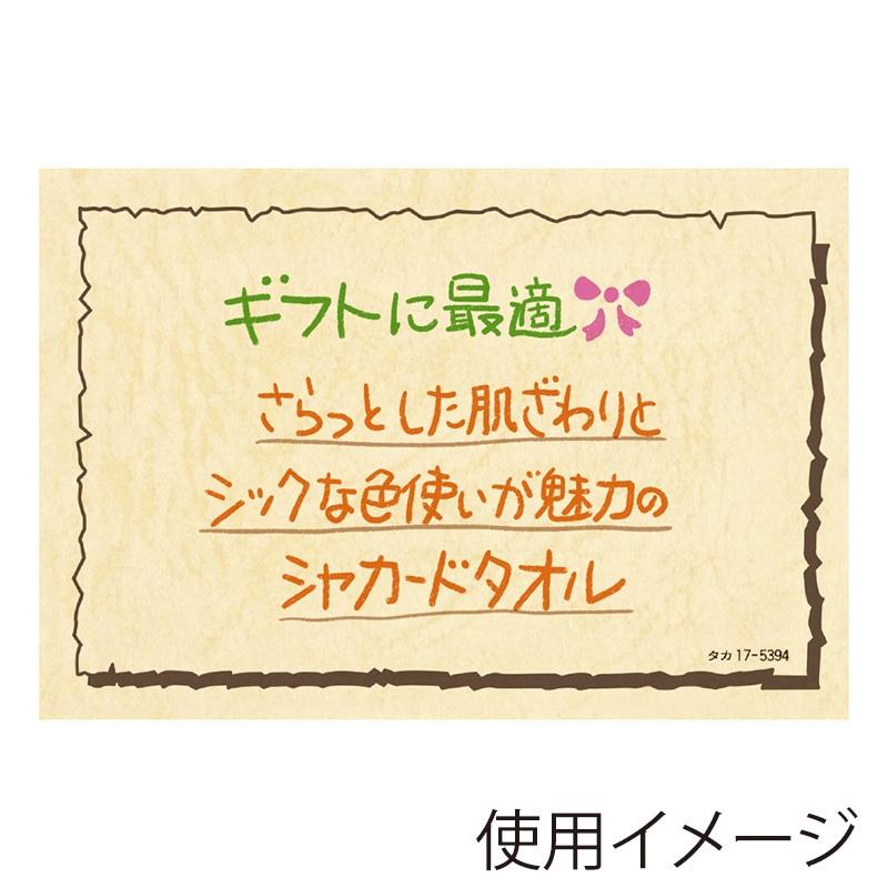 ササガワ ショーカード レザック 大 17-5394 30枚/冊
