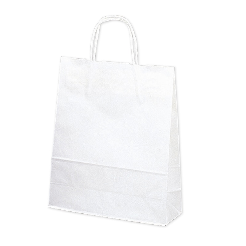 ササガワ 手提げ紙袋 白無地　小　10枚 50-6100 1包（ご注文単位1包）【直送品】