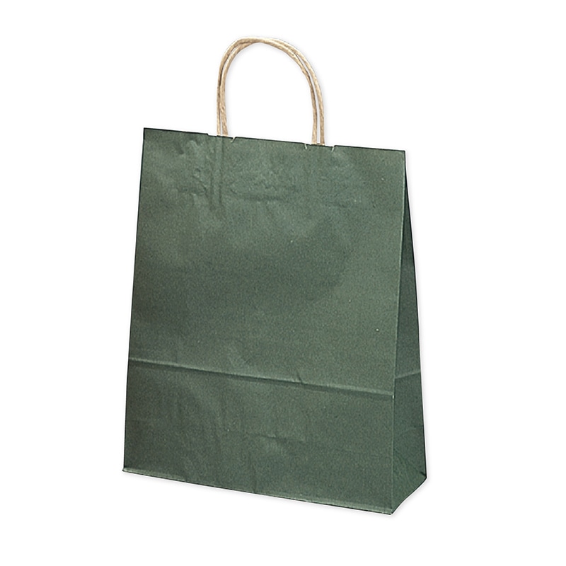 ササガワ 手提げ紙袋 エメラルド　小　10枚 50-6108 1包（ご注文単位1包）【直送品】