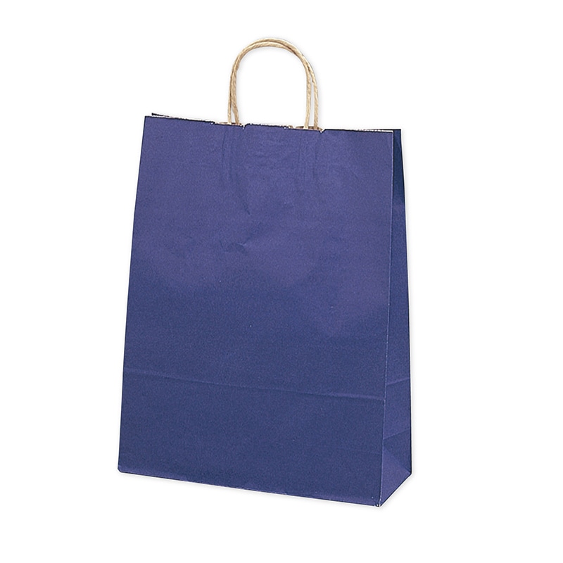 ササガワ 手提げ紙袋 マリン　大　10枚 50-6307 1包（ご注文単位1包）【直送品】