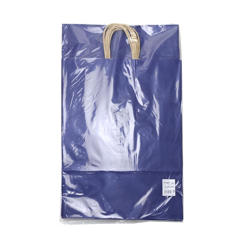 ササガワ 手提げ紙袋 マリン　特大　10枚 50-6407 1包（ご注文単位1包）【直送品】