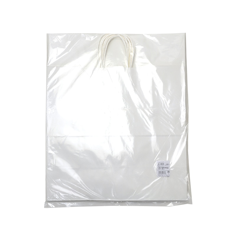 ササガワ 手提げ紙袋 白無地 特大角 10枚 50-6600 1包(ご注文単位1包)【直送品】