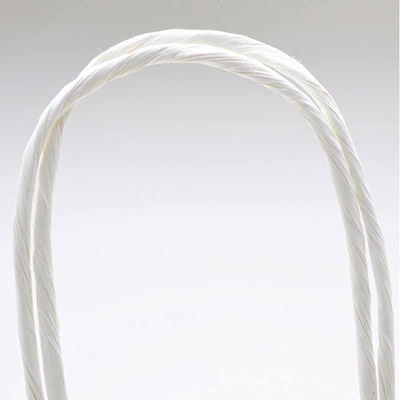 ササガワ 手提げ紙袋 白無地 特大角 10枚 50-6600 1包(ご注文単位1包)【直送品】