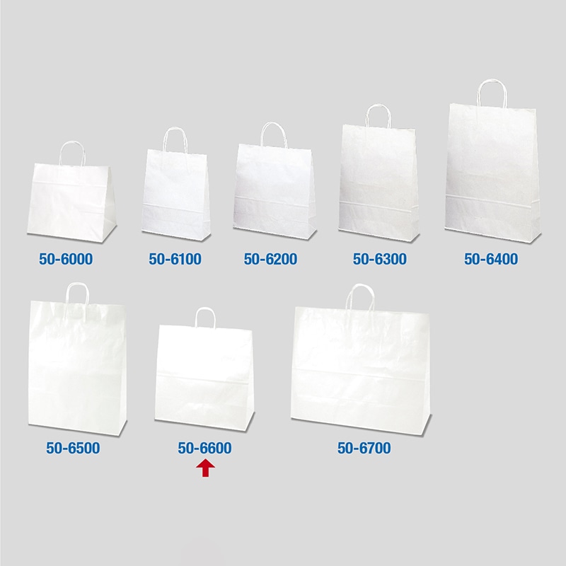 ササガワ 手提げ紙袋 白無地 特大角 10枚 50-6600 1包(ご注文単位1包)【直送品】