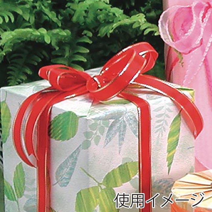 ササガワ リボン イブ 赤 18mm 50-7412 1巻(ご注文単位1巻)【直送品】