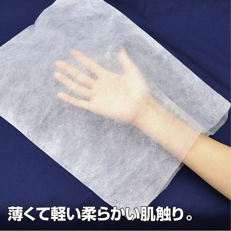 ササガワ 不織布製 内袋 小 50-1161 100枚 1包(ご注文単位1包)【直送品】