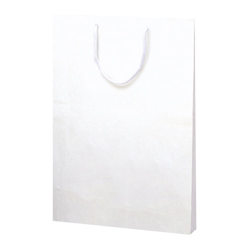 ササガワ 手提げ袋 額縁用 335×45×460mm 50-6800 10枚 1包(ご注文単位1包)【直送品】