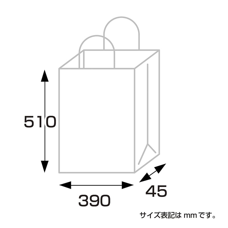 ササガワ 手提げ袋 額縁用 390×45×510mm 50-6900 10枚 1包(ご注文単位1包)【直送品】