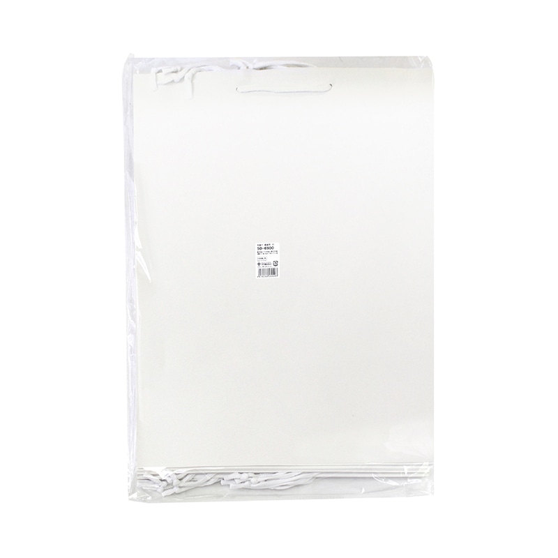 ササガワ 手提げ袋 額縁用 390×45×510mm 50-6900 10枚 1包(ご注文単位1包)【直送品】