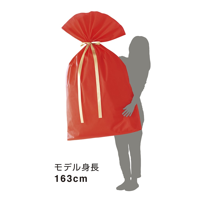 ササガワ 巾着袋 ソフトバッグ 超BIG W レッド 1枚 50-3751 1枚(ご注文単位5枚)【直送品】