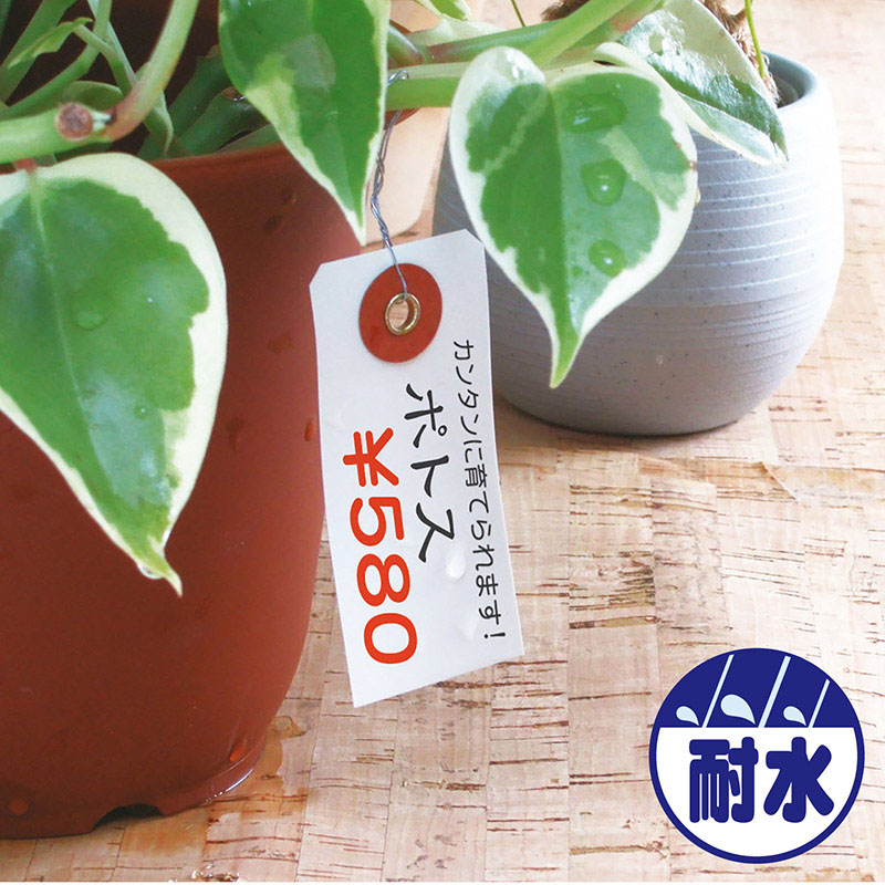 ササガワ ユポ荷札 豆 25-1210 1000枚 1箱(ご注文単位1箱)【直送品】