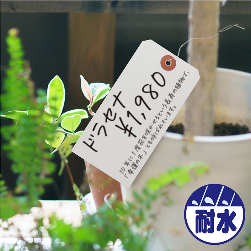 ササガワ ユポ荷札 大 25-1230 1000枚 1箱(ご注文単位1箱)【直送品】