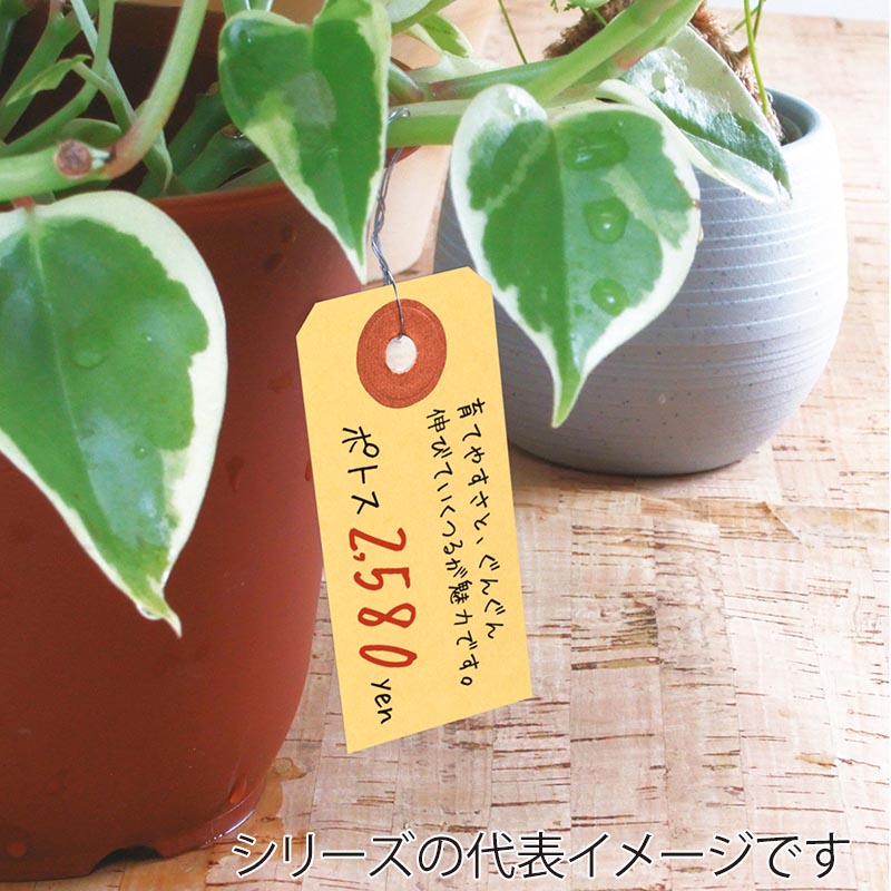 ササガワ パック入荷札 中 クラフト 一穴 25-7120 200枚 1パック(ご注文単位5パック)【直送品】