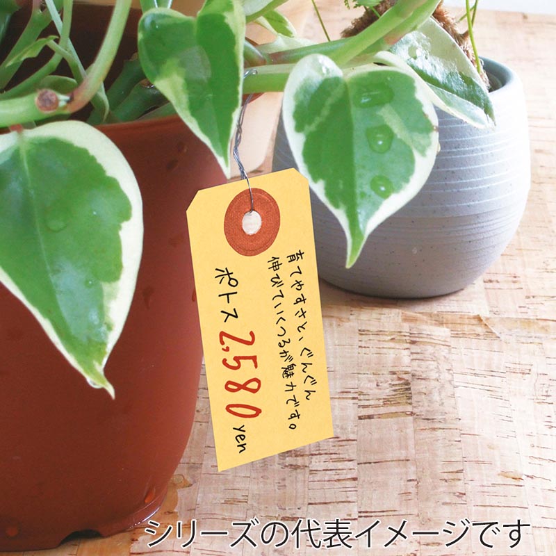 ササガワ パック入荷札 大 クラフト 一穴 25-7130 200枚 1パック(ご注文単位5パック)【直送品】