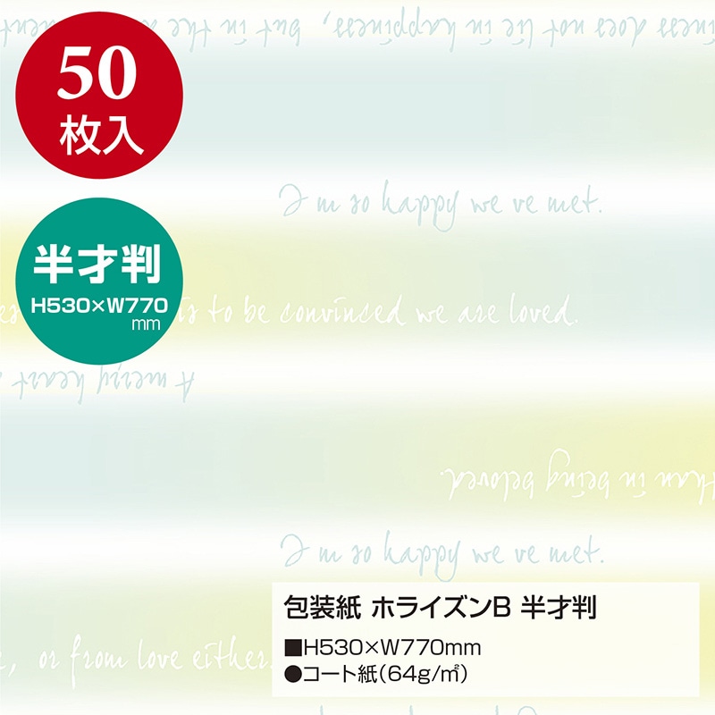 ササガワ 包装紙 ホライズンB　半才判 49-1138　50枚 1包（ご注文単位1包）【直送品】