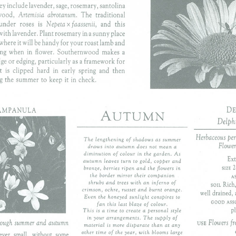 ササガワ 包装紙 半才判 カーディアングレー白 50枚 49-1420 1包(ご注文単位1包)【直送品】